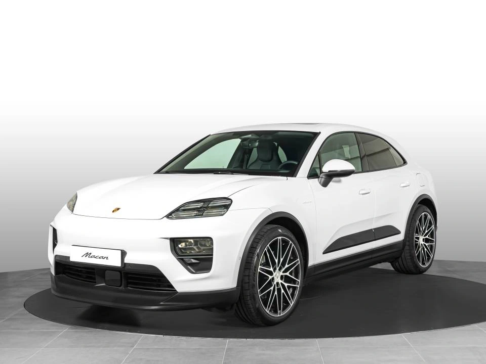 Macan